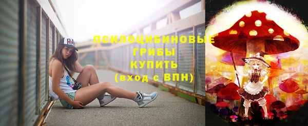 тгк Приозерск