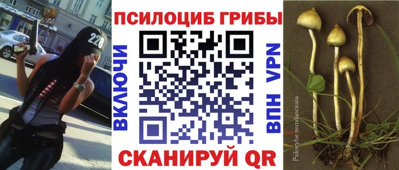 где купить наркотик  Арсеньев  Псилоцибиновые грибы GOLDEN TEACHER 