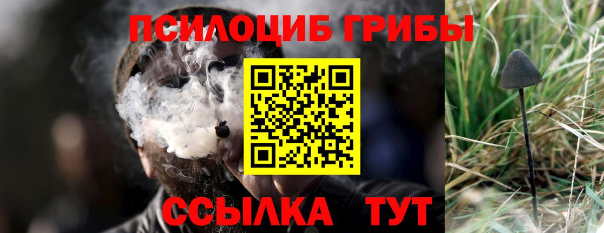 Галлюциногенные грибы GOLDEN TEACHER  Вход с VPN  Арсеньев 